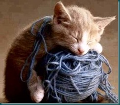 kitty-yarn