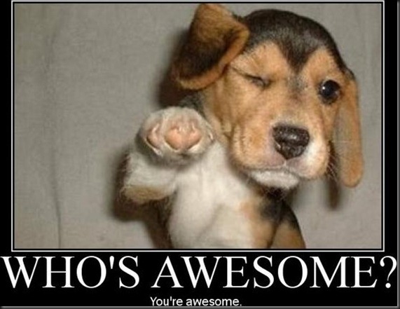 who-is-awesome